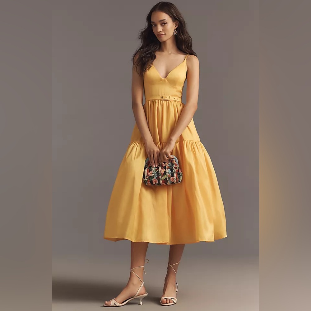 NWT Anthropologie Hutch Atherton Belted Midi Dress